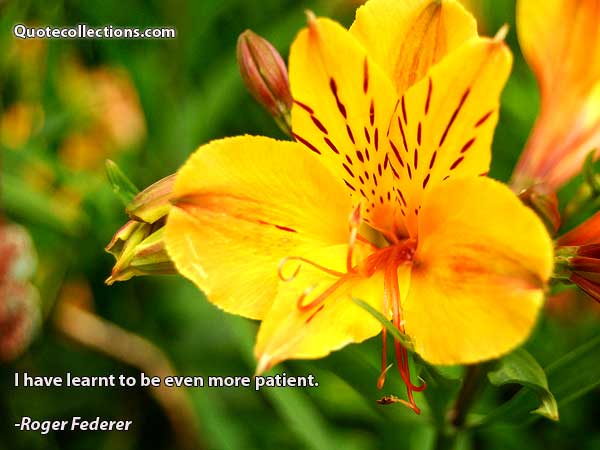 Roger Federer Quotes4